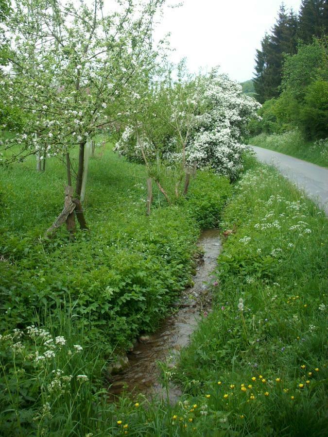 Gasthof Susewind Antfeld المظهر الخارجي الصورة